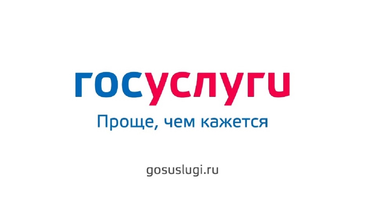 Картинка портал госуслуг